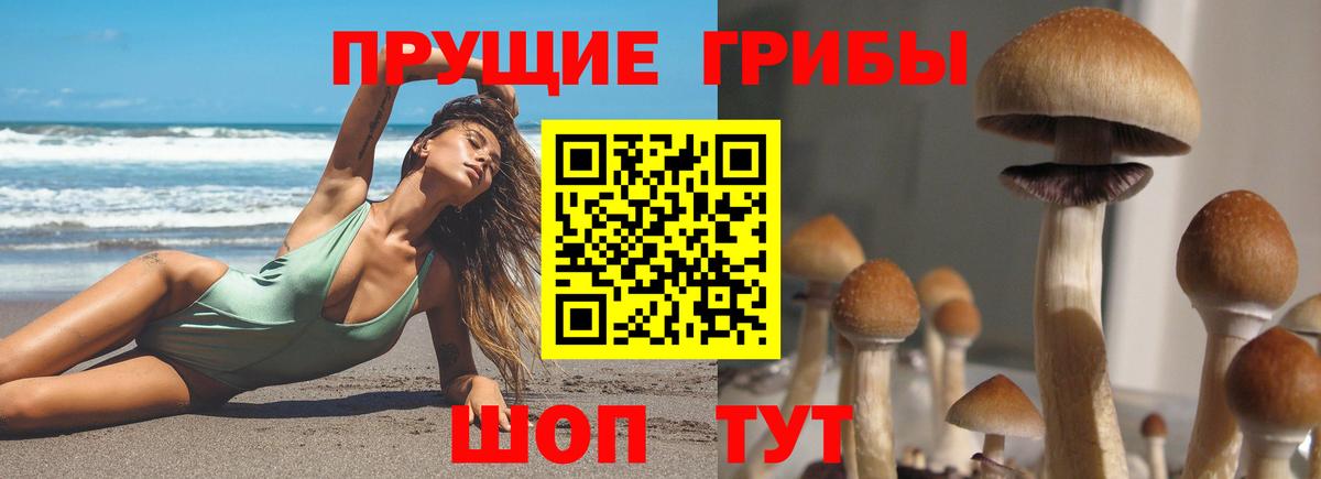 Галлюциногенные грибы Magic Shrooms  Вход с VPN  Кизилюрт 